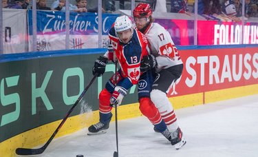 Highlights vs. Bremerhaven