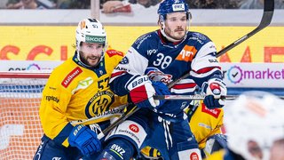 Highlights vs. Davos HF4